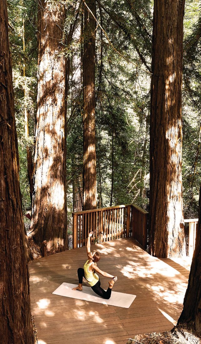 Canyon Ranch Woodside’s serene setting helps ease visitors into a more relaxed state of mind. PHOTO COURTESY OF BRANDS